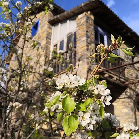 Casa Marina * Buerba