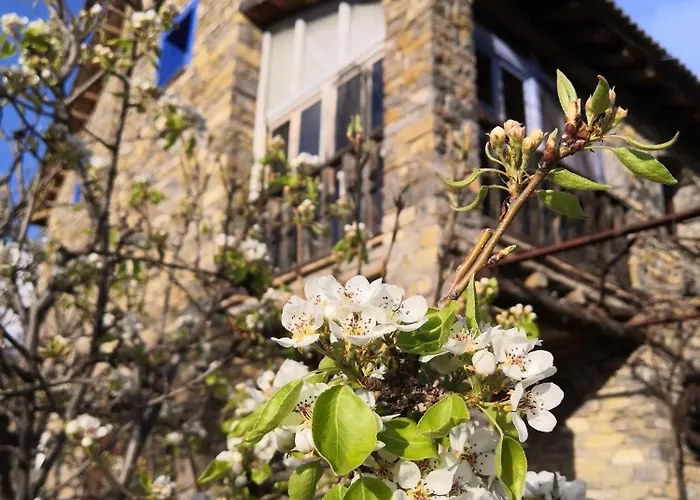 Casa Marina 3* Buerba